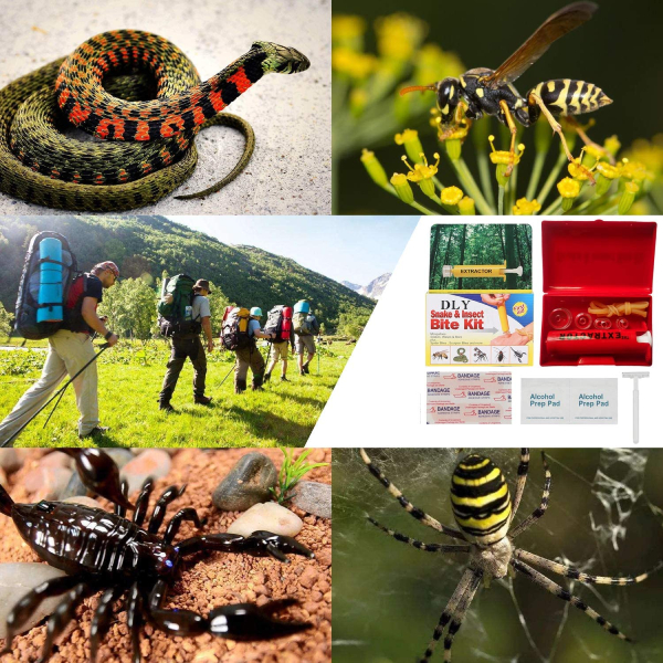 Snake Bite Kit, Bee Sting Kit, Emergency First Aid Supplies, Venom Extractor Suction Pump, Bite and Sting First Aid for Hiking, Backpacking and Camping