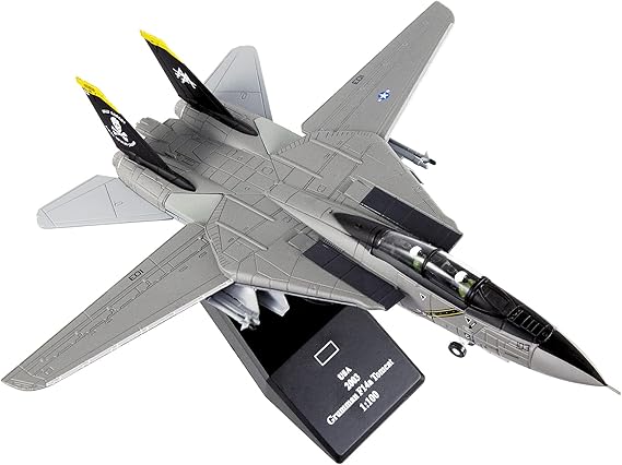 1:100 F-14 Tomcat Skeleton Fighter Jet Model
