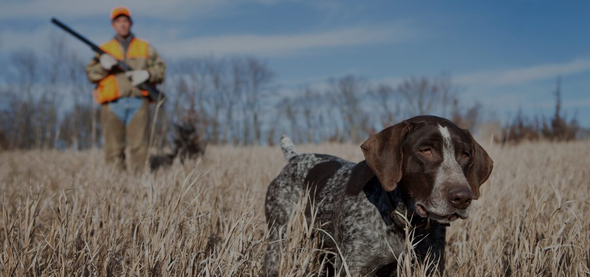 Beginner’s Guide to Hunting in Pakistan: Rules and Tips